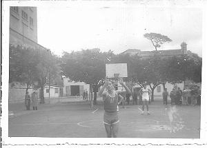 PMO BASKET PMO  vivi
